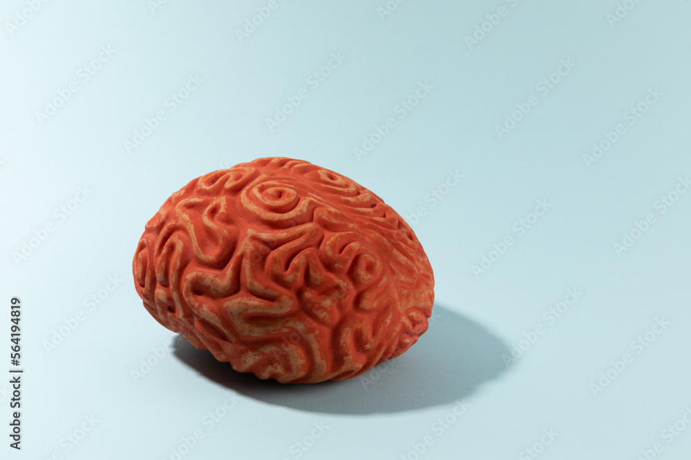 Toy brain on cyan background Toy brain on cyan background