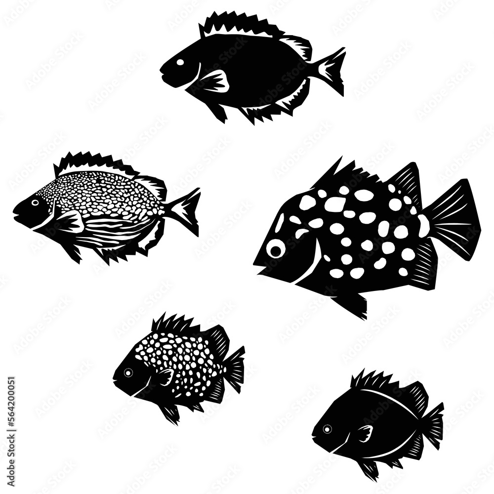 black and white coral fish collection vector illustration Stock ベクター