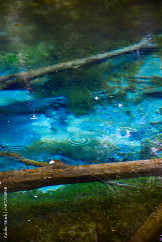 北海道にある青い池のひとつ神の子池 © Raicho
