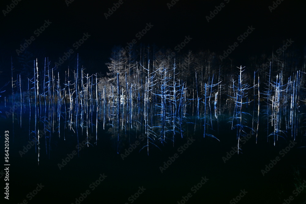 雪の降る冬にライトアップされる幻想的で美しい青い池