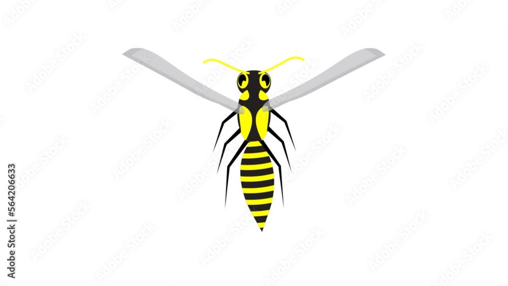 Animated striped wasp flies fast and flaps its wings. Insect predators in wild. Cartoon looped video isolated on white background Animated striped wasp flies fast and flaps its wings. Insect predators in wild. Cartoon looped video isolated on white background