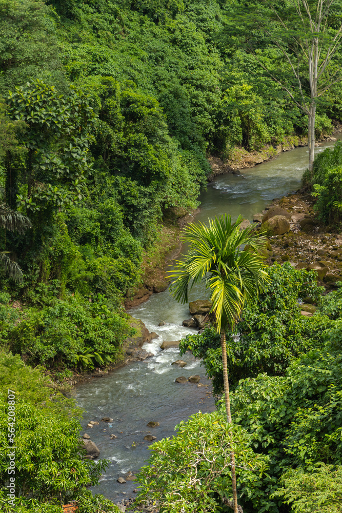 River near Tegenungan waterfall, Bali, Indonesia. Jungle, forest, daytime with cloudy sky.