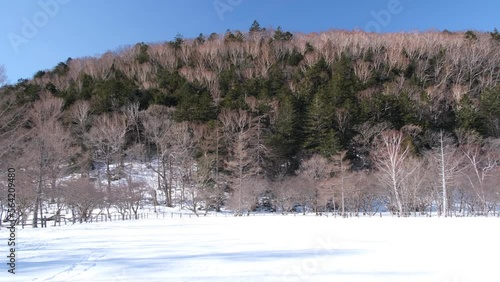 Wallpaper Mural 光徳牧場の冬景色 Torontodigital.ca