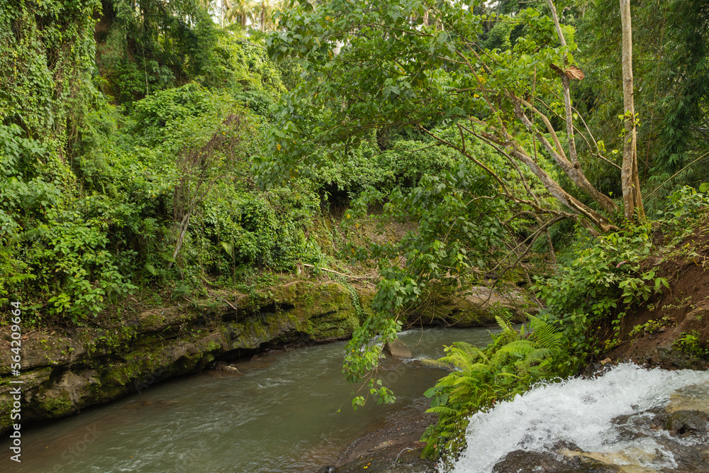 Uma Anyar waterfall, Bali, Indonesia. Jungle, forest, daytime with cloudy sky. Uma Anyar waterfall, Bali, Indonesia. Jungle, forest, daytime with cloudy sky.