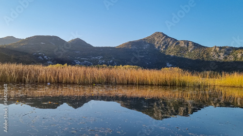 Sunrise mist over field of golden reeds on Crmnica river going to Lake Skadar near Virpazar, Bar, Montenegro, Balkans, Europe. Dinaric Alps in back. Amazing idyllic view of water reflection in water photo