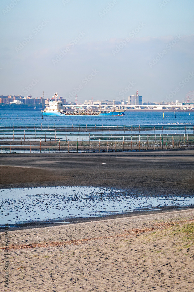 Fototapeta premium 三番瀬の干潟沖を行き交う船（千葉県ふなばし三番瀬海浜公園）