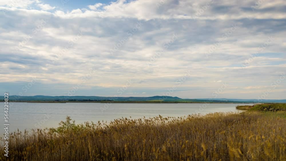 Wind shakes dry reeds and makes ripples on a river with a reflection of a clouds Wind shakes dry reeds and makes ripples on a river with a reflection of a clouds
