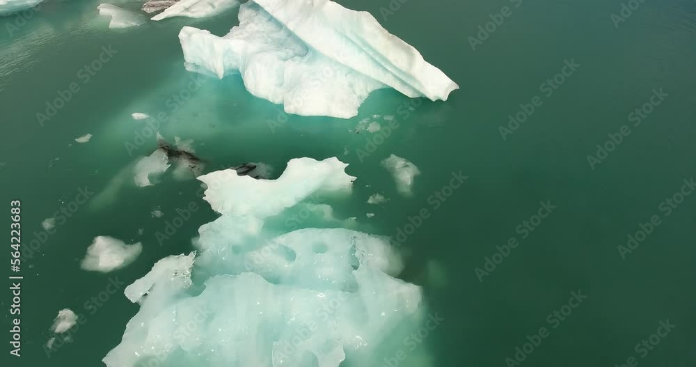 Iceberg provenant du glacier Vatnajökull, dans le lagon de Jökulsárlón en Islande