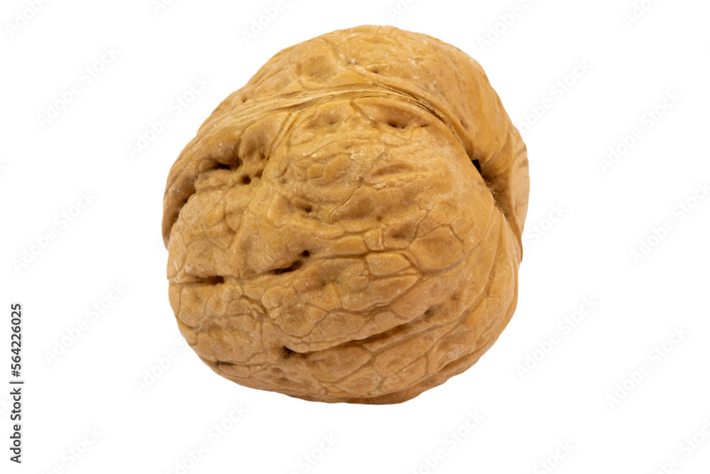 noix en gros plan isolé sur un fond blanc