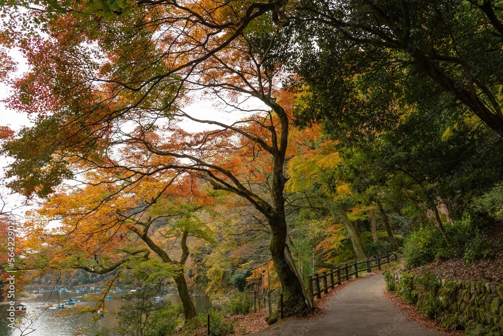 京都嵐山　紅葉