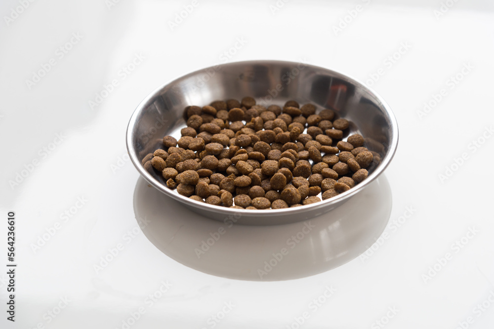 Cat food and water in metallic bowls Cat food and water in metallic bowls