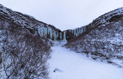 Svartifoss iceland completely frozen black waterfall with bluish stalactites and snow under white sky photo