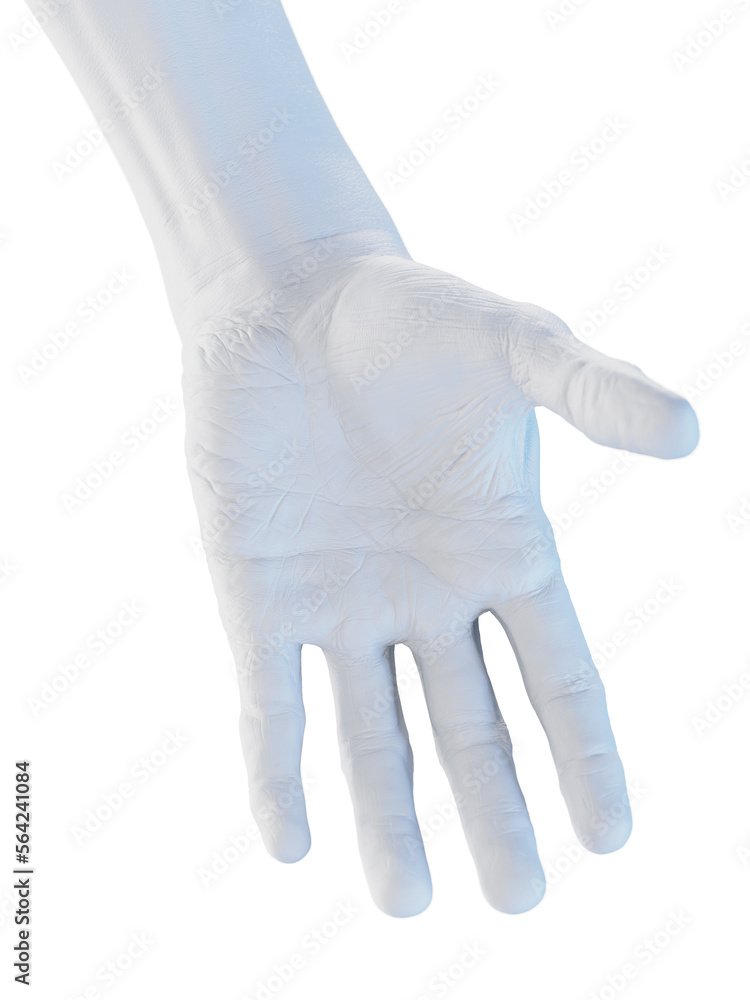 3D Rendered Medical Illustration of a man's hand 3D Rendered Medical Illustration of a man's hand