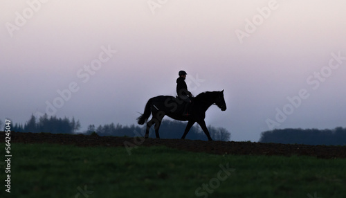 Einsamer Reiter am Horizont auf einem Warmblut Pferd im Schritt, Abendlicht nach Sonnenuntergang im Winter im Kalletal, Silhoutte im Kalletal
