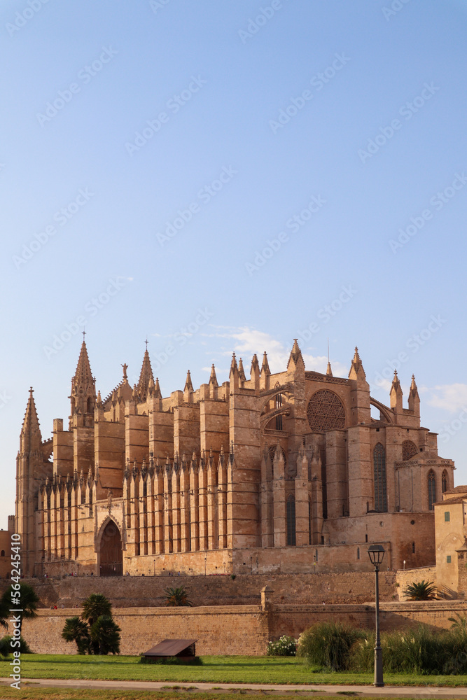 old cathedral in the city