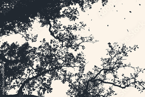 Oak tree and branches silhouette. detailed vector illustration