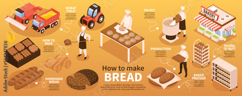 Bread Production Infographic Set