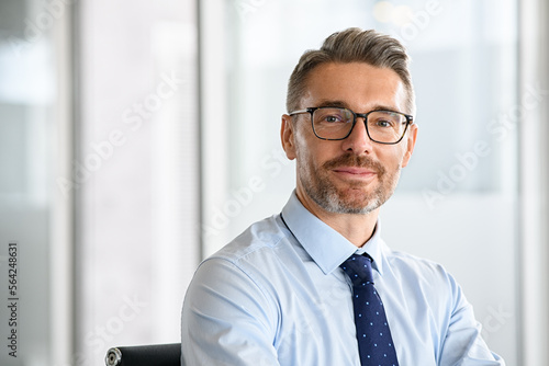 Portrait of smiling mature businessman at work