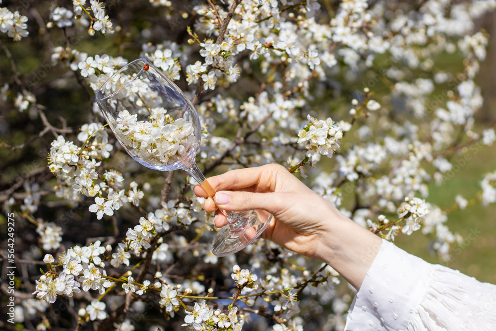 wild cherry blossom tree mother woman with bunny rabbit ears against with baby toddler in arms.girl holding wine glass with small little flowers inside ladybug on edge.sunny easter spring day blonde 