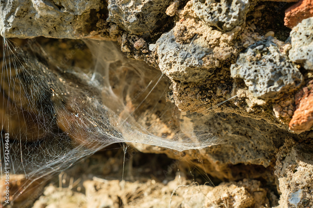 Cobwebs on the wall of an old abandoned house, selective focus, idea for a background, environment concept Cobwebs on the wall of an old abandoned house, selective focus, idea for a background, environment concept