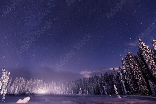 Tablou pe pânză Winter nightscape at Pokljuka