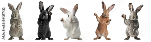 groupe de lapins debout sur leurs pattes - fond transparent - illustration ia photo