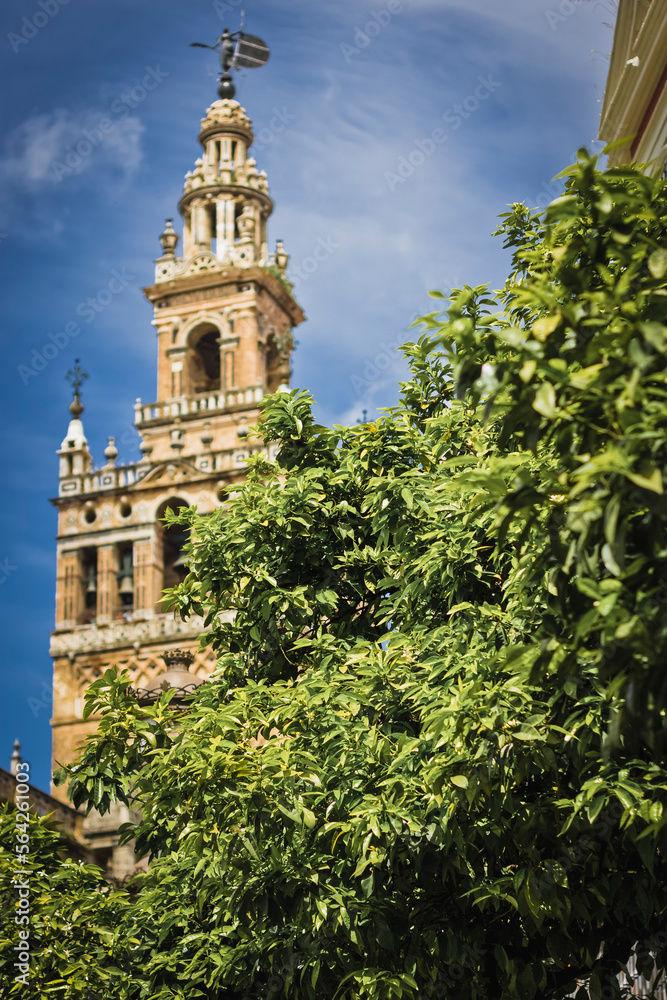 View of the La Giralde Tower from the roof of the Seville Cathedral, Spain