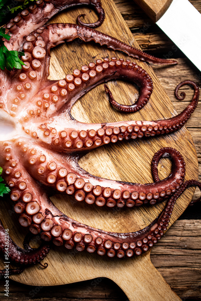 Fototapeta premium Beautiful octopus on a cutting board. 