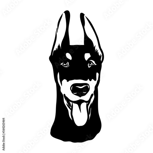 Doberman, dog, black and white vector illustration. Portrait. The head of a domestic animal. Tattoo. Clipart, laser cutting. Stock image isolated on white background.