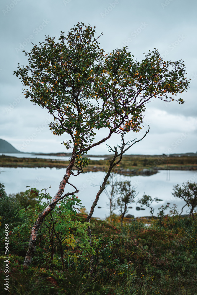 Majestic norwegian landscape with mountains during autumn Majestic norwegian landscape with mountains during autumn