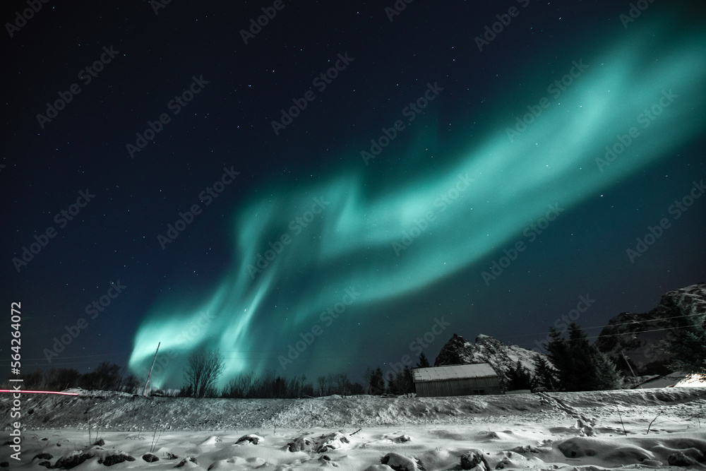 Northern lights, Aurora borealis over amazing landscape in Lofoten, Norway  with mountains in background, Absolutely stunning and beautiful lights on the sky - obrazy, fototapety, plakaty 