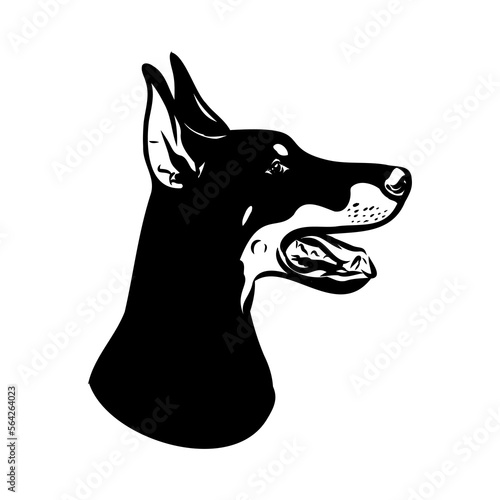 Doberman, dog, black and white vector illustration. Portrait. The head of a domestic animal. Tattoo. Clipart, laser cutting. Stock image isolated on white background.