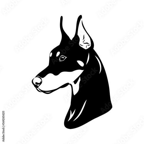 Doberman, dog, black and white vector illustration. Portrait. The head of a domestic animal. Tattoo. Clipart, laser cutting. Stock image isolated on white background.