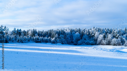 Snowy Field Landscape Norway