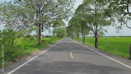 Wallpaper Mural 4K Video aerial shot road in green country area. Concept for country transportation and sustainable. Torontodigital.ca