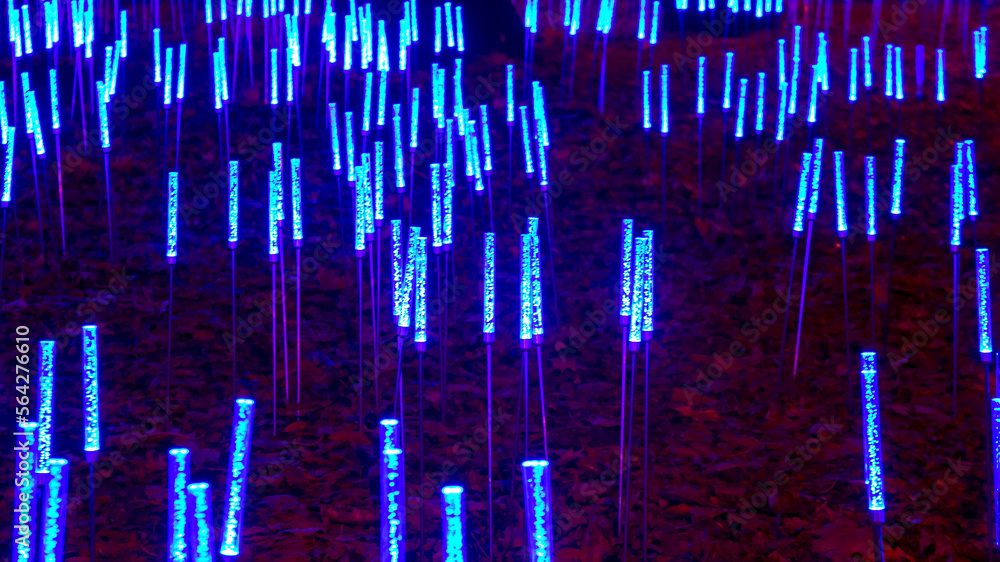 color LED illumination in the park. street light color festival decoration color LED illumination in the park. street light color festival decoration