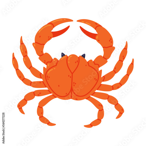 Crab as Crustacean Seafood and Fresh Sea Product Vector Illustration
