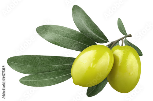 Olive branch cut out