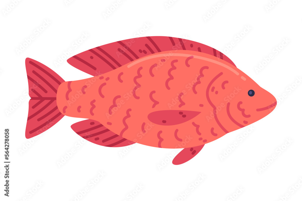 Red Snapper Fish as Seafood and Fresh Sea Product Vector Illustration Red Snapper Fish as Seafood and Fresh Sea Product Vector Illustration
