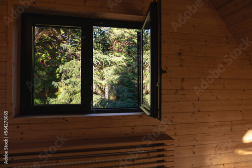 Window in a wooden house with a view of green pine trees 