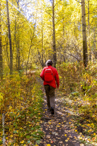 A brunet man with a red backpack walks along a narrow path in a golden autumn forest. View from the back © Вера Тихонова