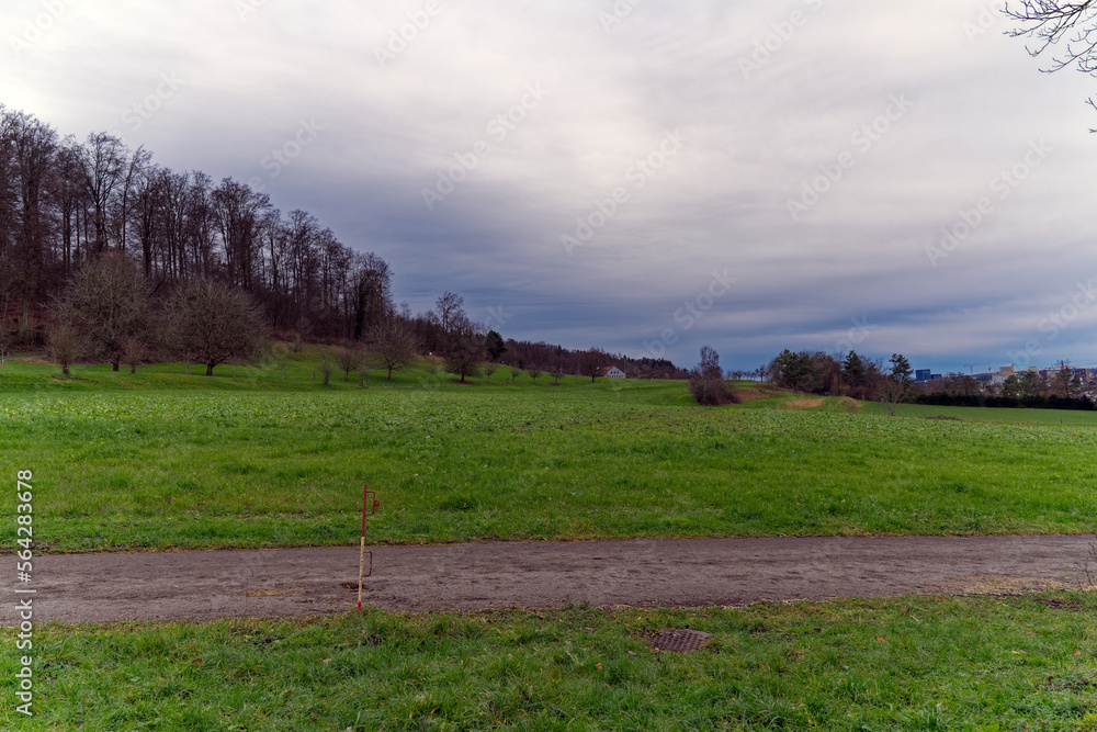 Fototapeta premium Orchard with apple trees, meadow and forest in the background at Swiss City of Zürich district Schwamendingen on a cloudy winter day. Photo taken January 14th, 2023, Zurich, Switzerland.