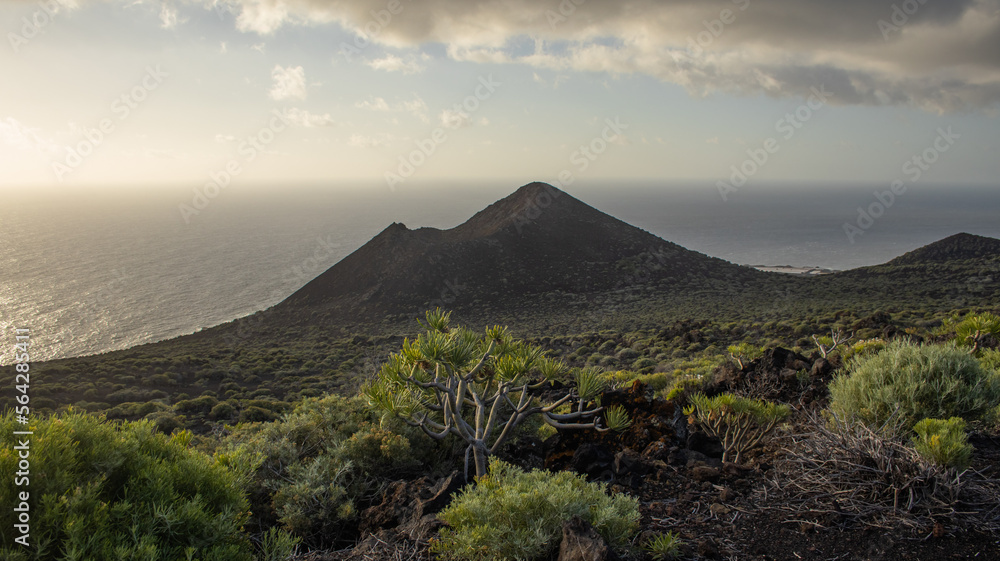 Un paisaje volcanico tipico de las Islas Canarias. en la isla de La Palma.