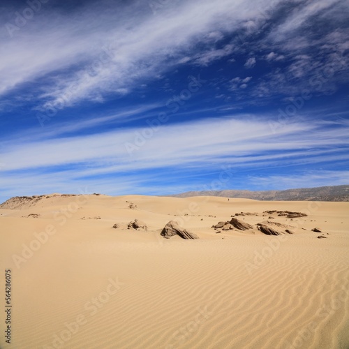 Desert landscape in Agadir, Morocco