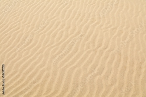Desert sand texture - wind pattern