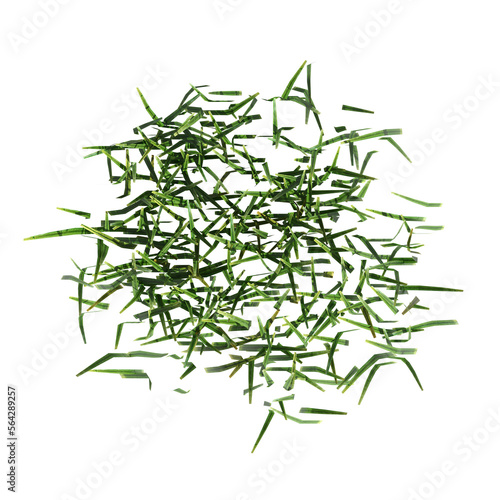 wild field grass, top view, isolated on a transparent background, 3D illustration, cg render 