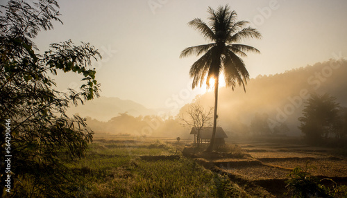 Wallpaper Mural sunset in the morning Torontodigital.ca