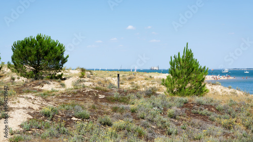 Beach in Oleron island and Fort Boyard in Charente-Maritime coasr photo