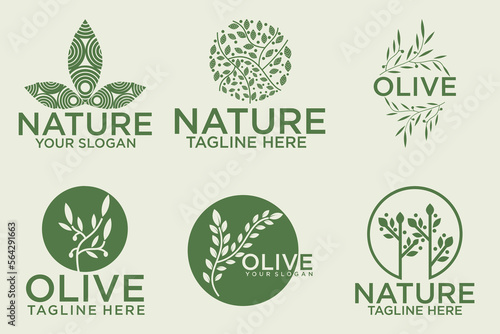 olive branch logo design with 6 options