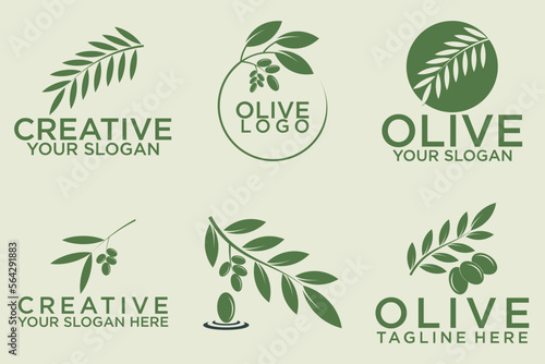 olive branch logo design with 6 options